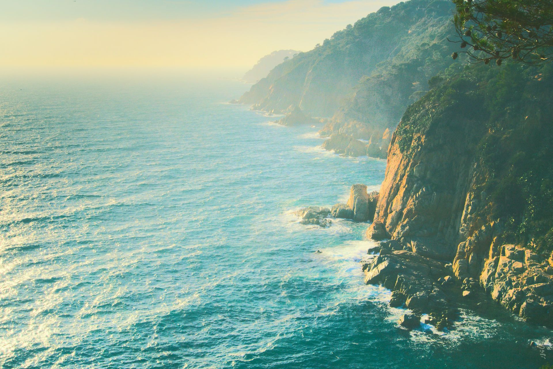 Cala Pedrosa, Tamariu, Costa Brava